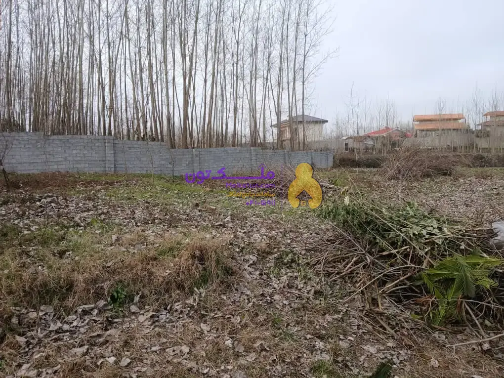 ۳۰۰ متر زمین باغی زیبا در حالی رشت