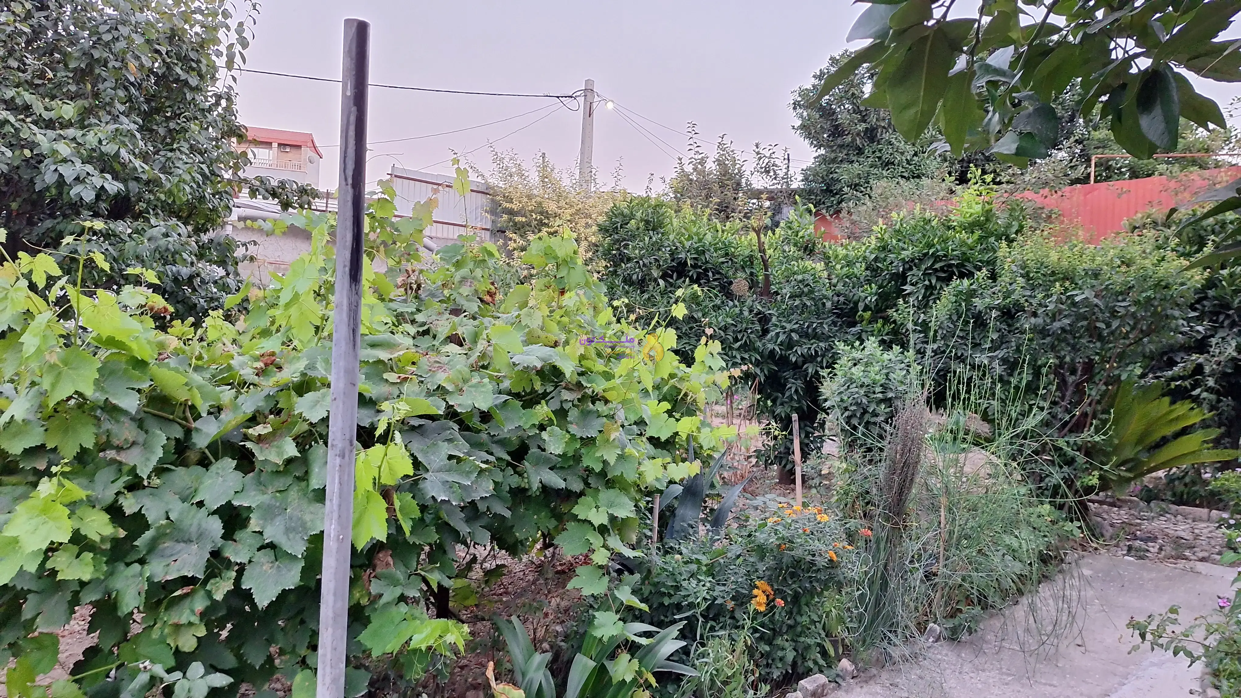 مسکونی و متراژ۵۲۵متر مربع و جاده دریا