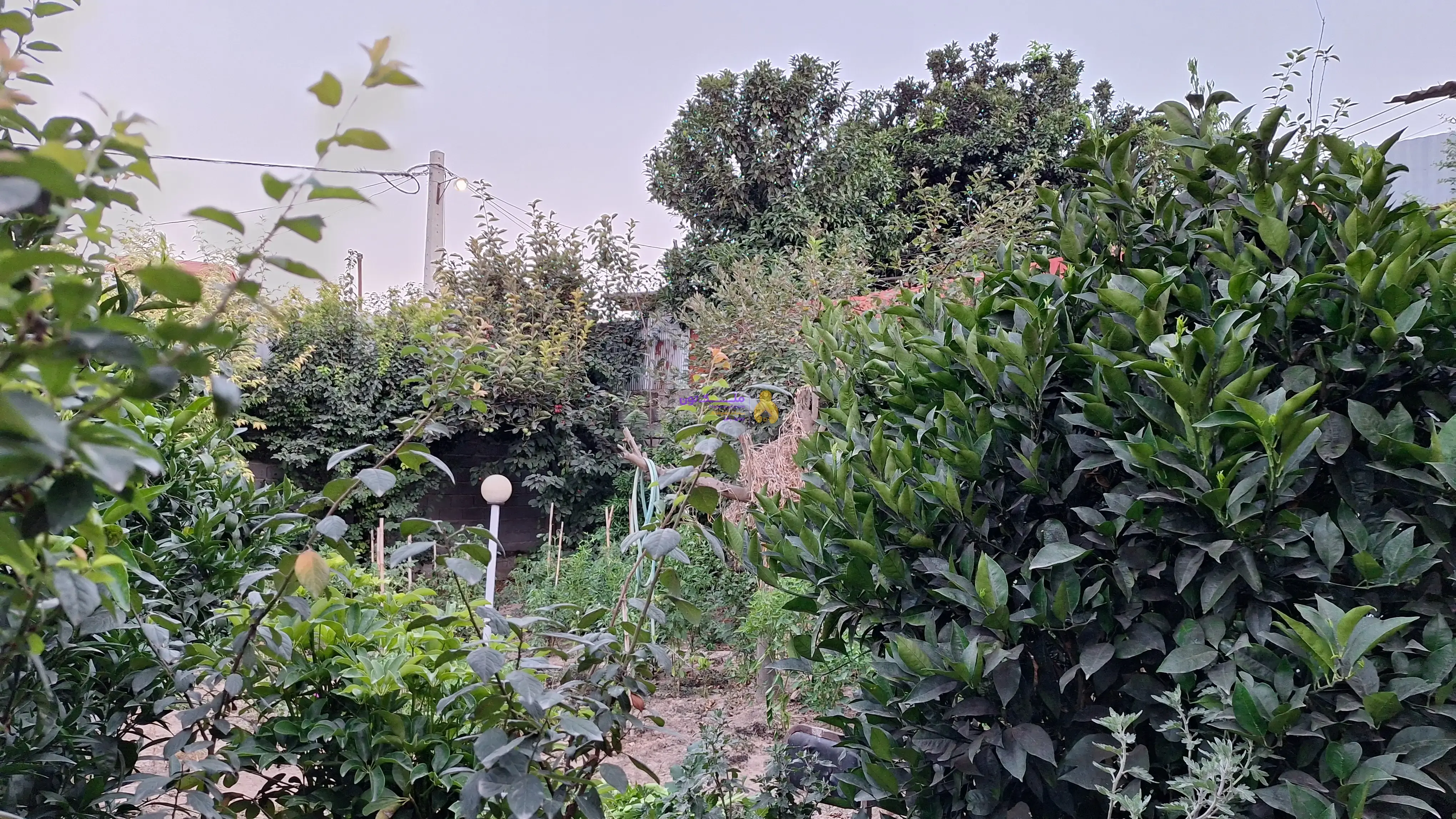 مسکونی و متراژ۵۲۵متر مربع و جاده دریا