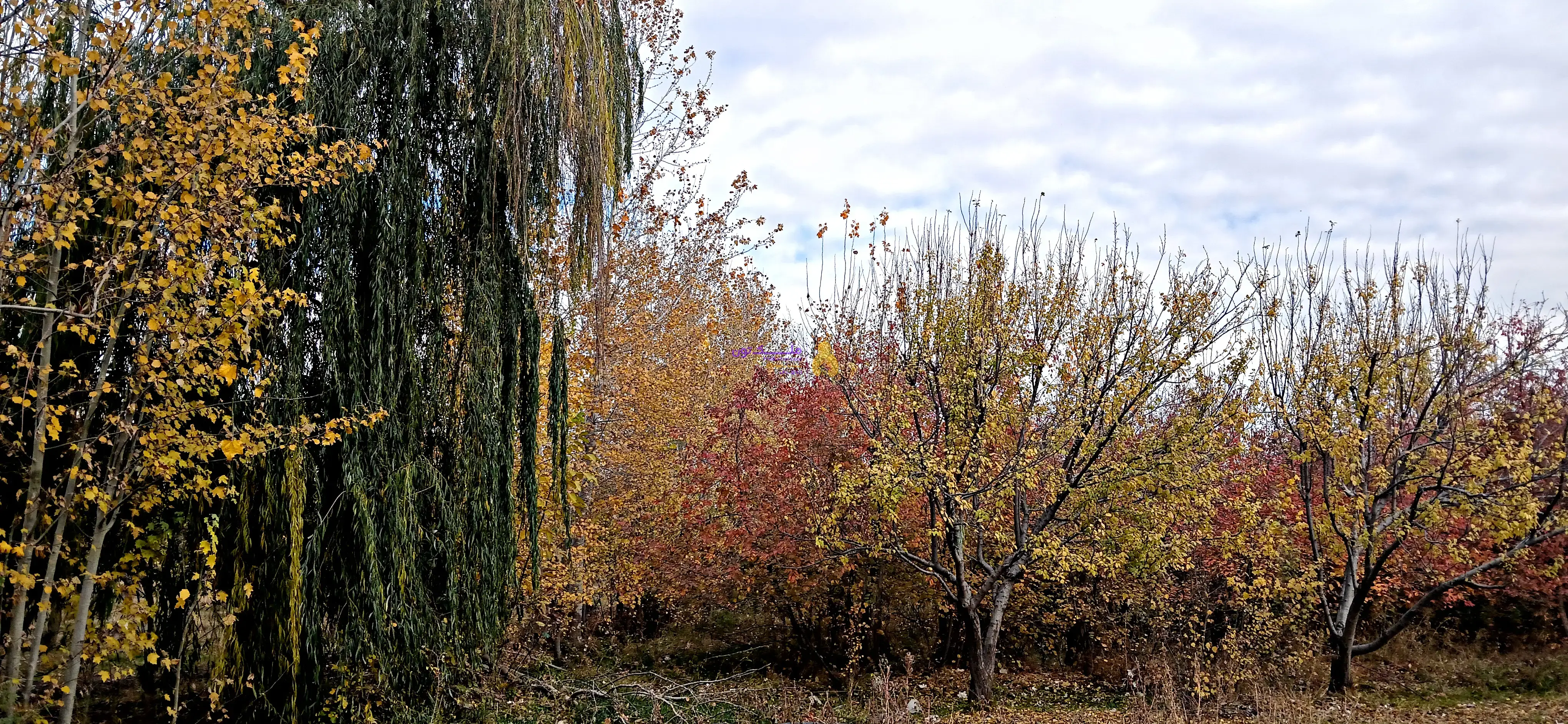 باغ ۱۰۰۰ متری غرب تهران