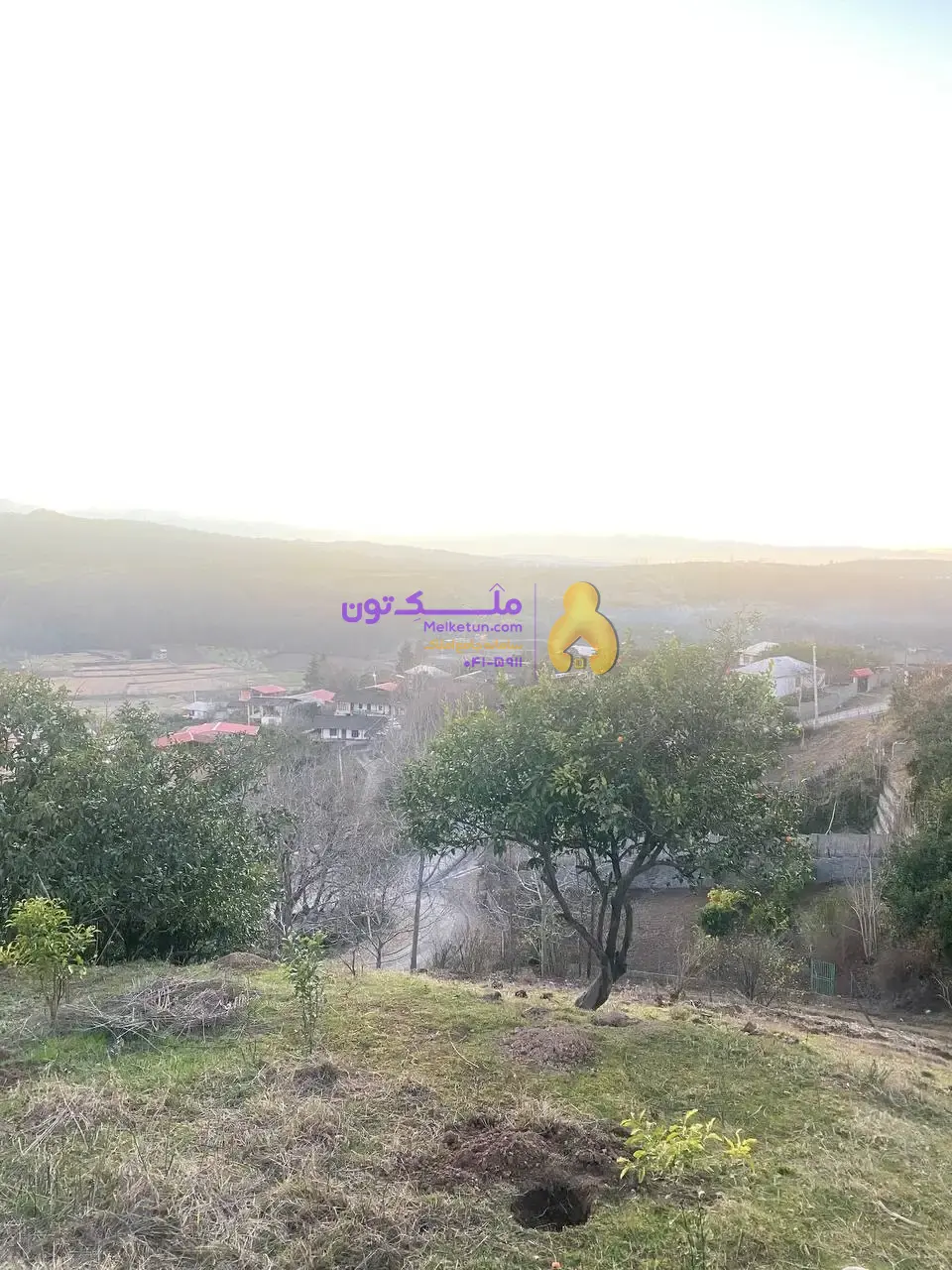زمین ویلایی مازندران/ روی تپه ویو ابدی