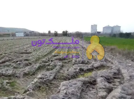 زمین کشاورزی1000متر مازندران نکا