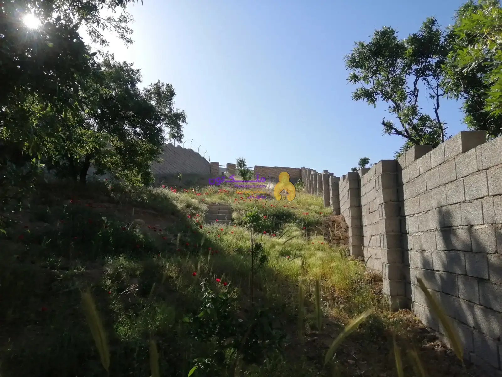 باغ و زمین به متراژ ۱۳۰۰
