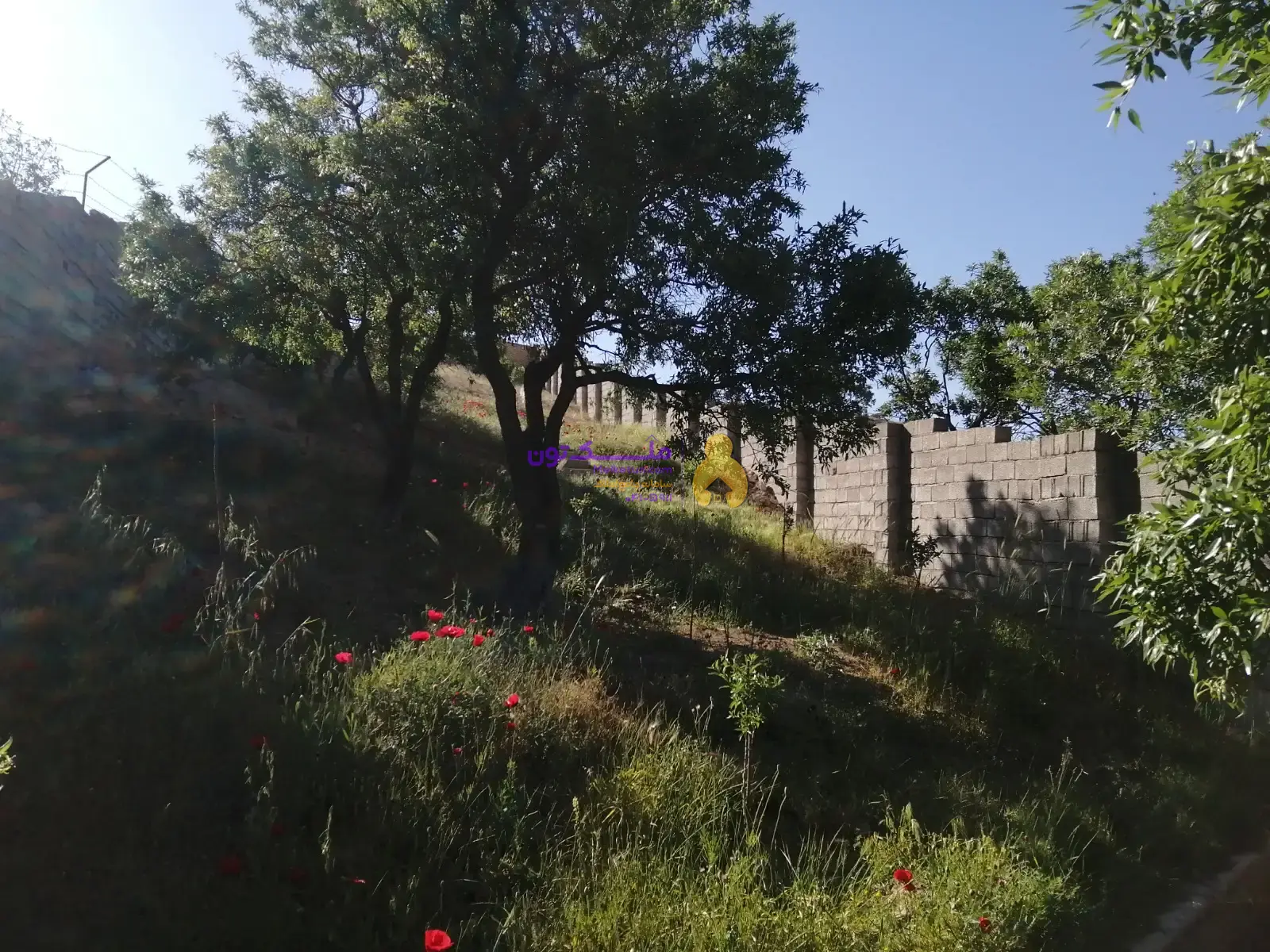 باغ و زمین به متراژ ۱۳۰۰