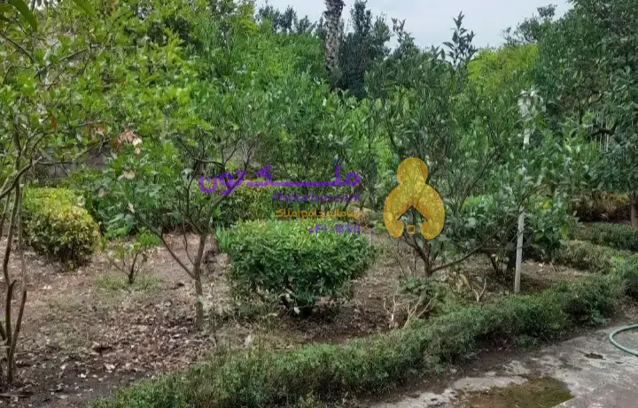 ویلا دوبلکس رامسر