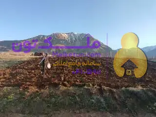 زمین ویلایی به 800 متر در منطقه معروف به زمین های فلک
