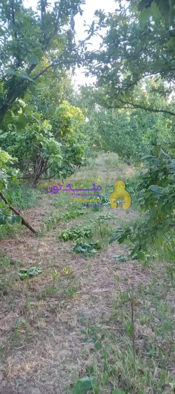 زمین باغ ۲۳۰۰ متری کمربندی اسفراین دارای خانه باغ