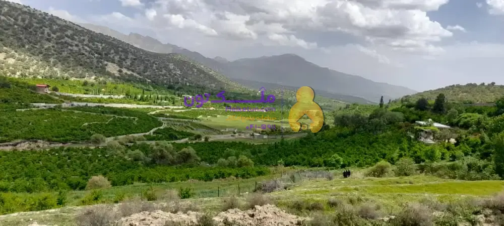 هزار متر باغ ثمری کوهمره سرخی، کنار جاده، دارای حدود 100 درخت، درآمد سالیانه حدود 200 تا 250 میلیون تومان.(قیمت براساس تعداد درخت حساب می شود)