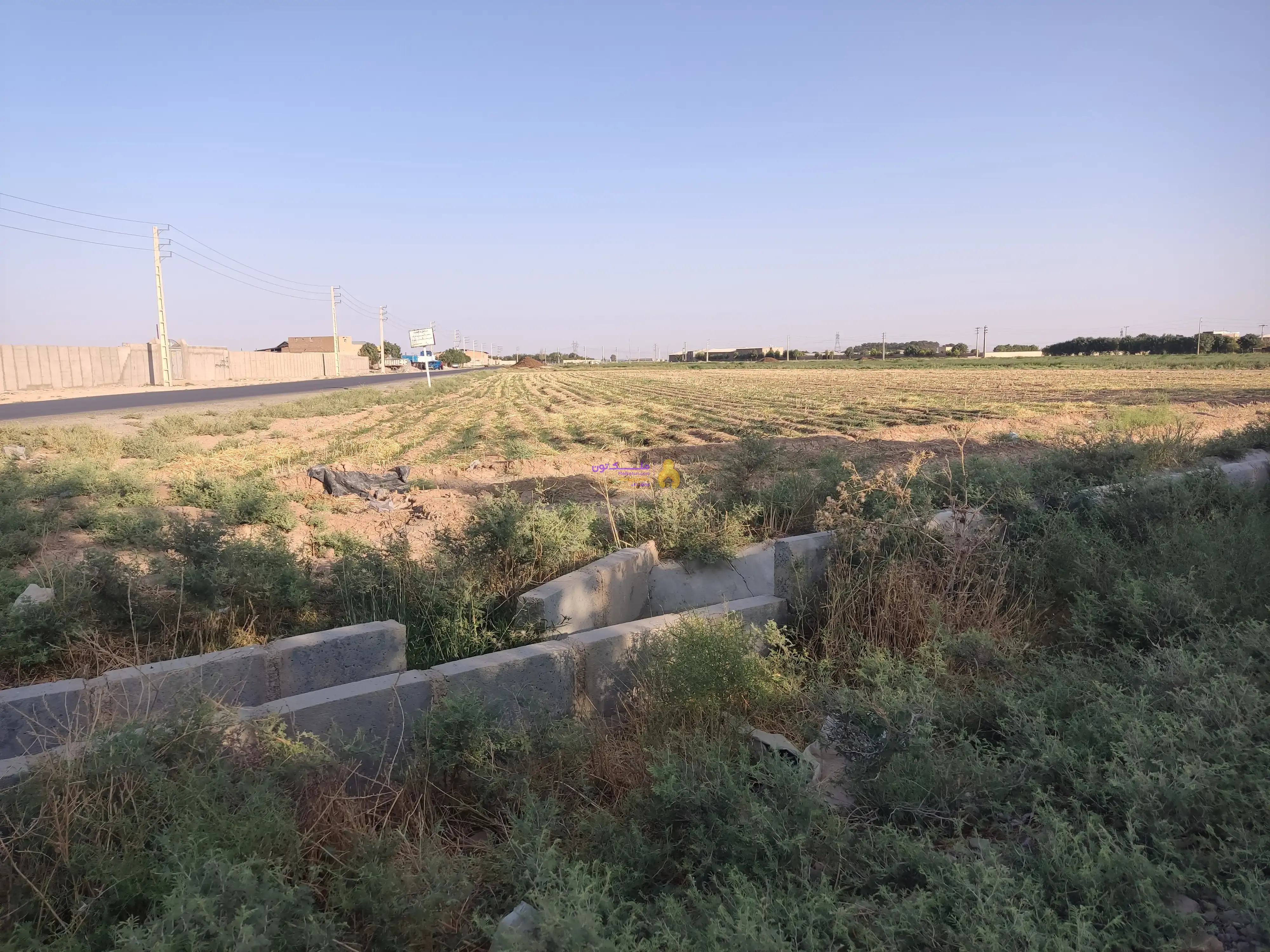 زمین کشاورزی