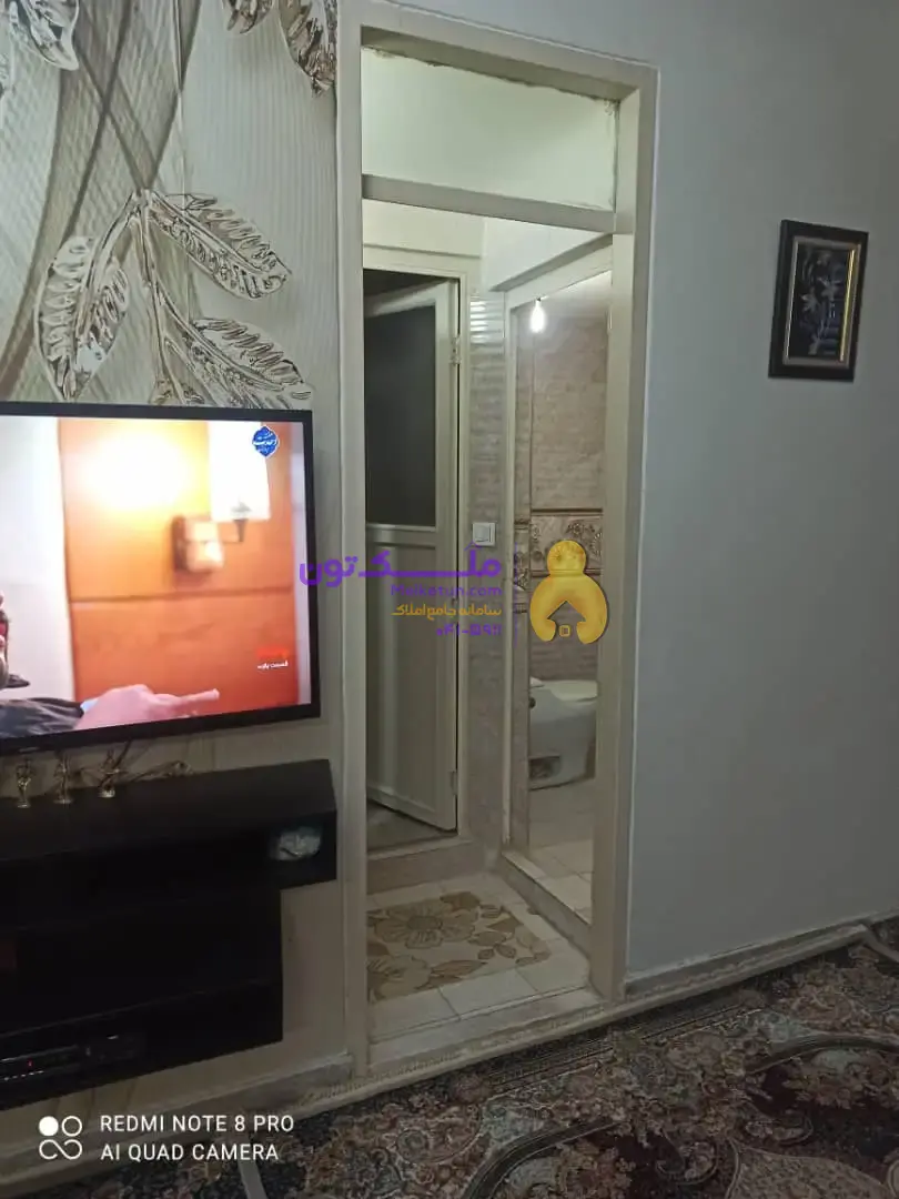 نقلی بریانک