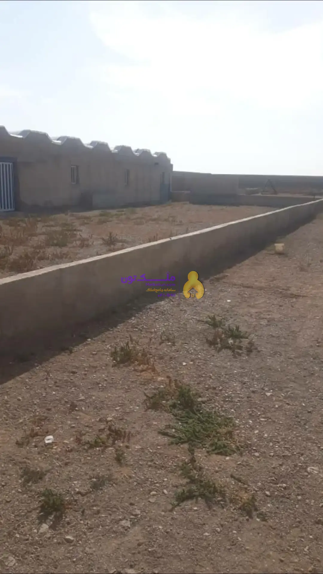 گاوداری ۲۰۰راسی