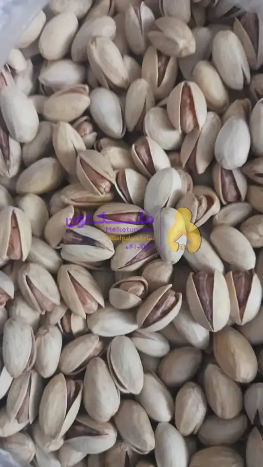 مجوز چاه آب عمیق