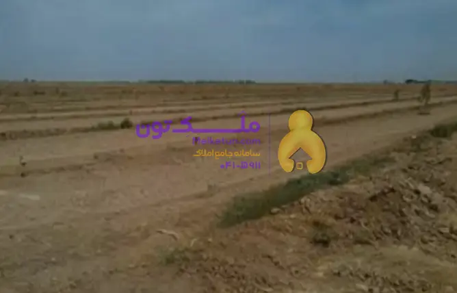 هزار متر زمین